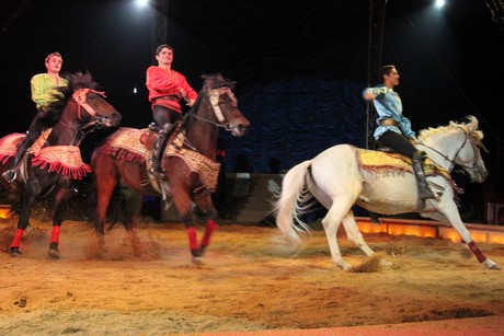 circus-krone