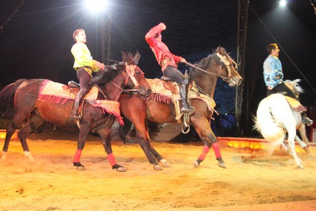 circus-krone