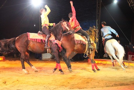 circus-krone