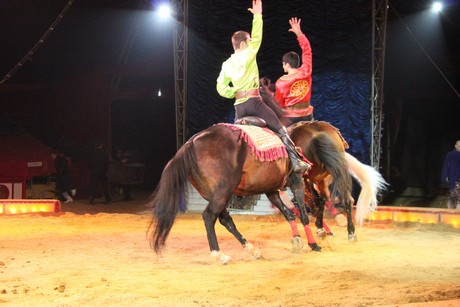 circus-krone