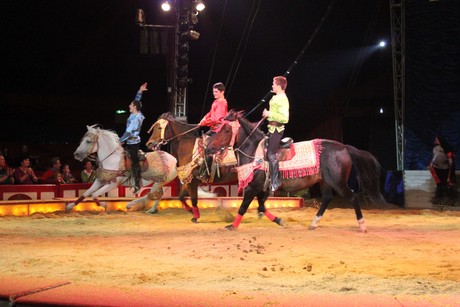 circus-krone