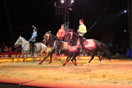 circus-krone