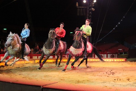 circus-krone