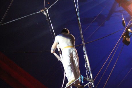 circus-krone