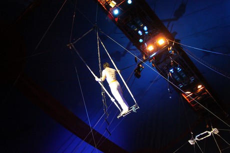 circus-krone