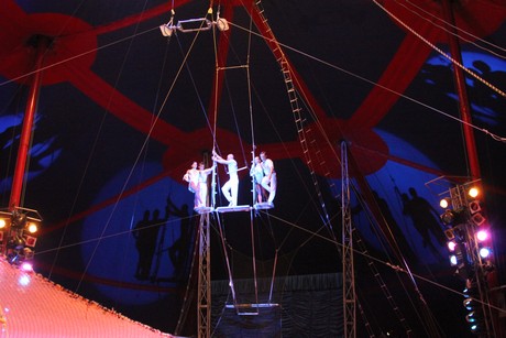 circus-krone