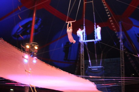 circus-krone
