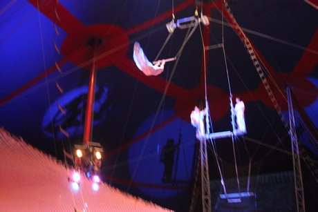 circus-krone