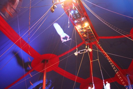 circus-krone
