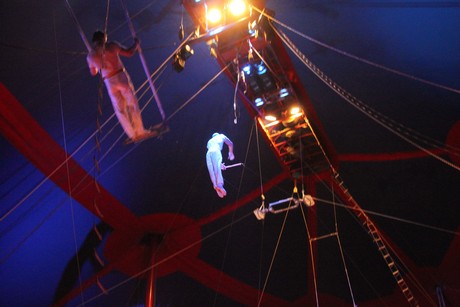 circus-krone