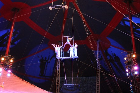 circus-krone