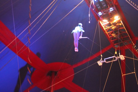circus-krone