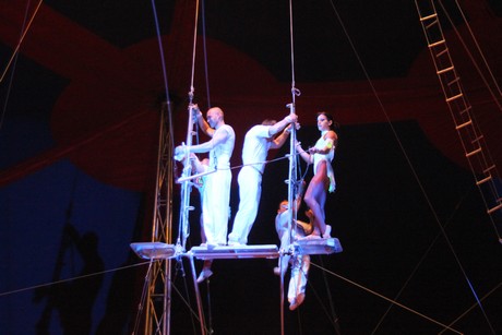 circus-krone
