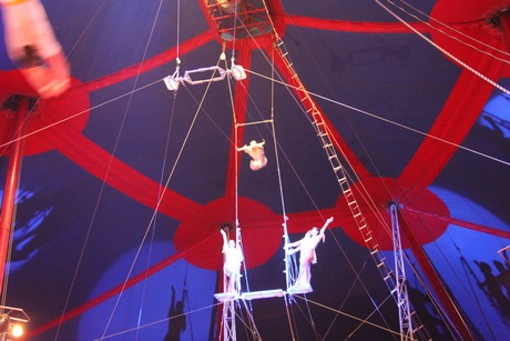 circus-krone