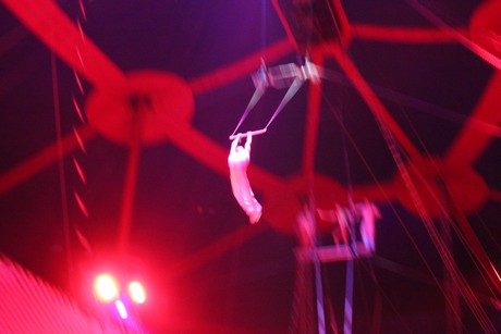 circus-krone
