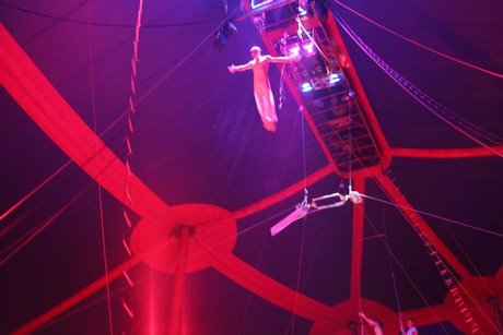 circus-krone