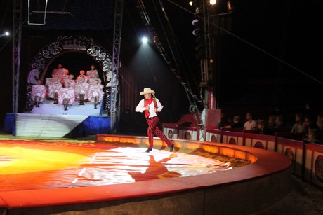 circus-krone