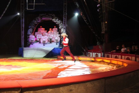 circus-krone