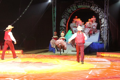 circus-krone