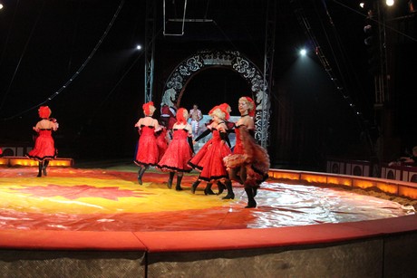 circus-krone