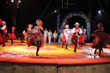 circus-krone