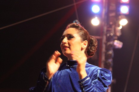circus-krone