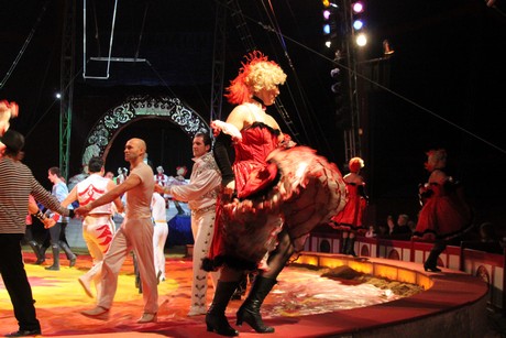 circus-krone
