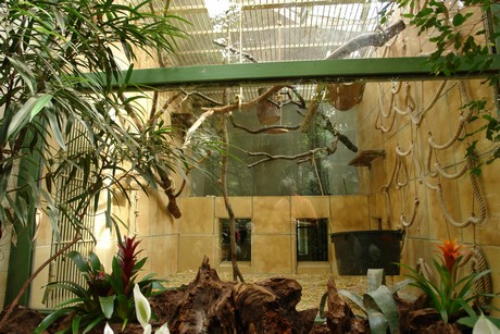 affenhaus