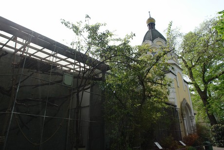 affenhaus