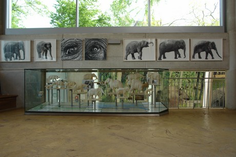 elefanten-park