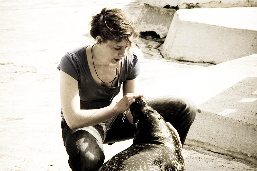 seehunde