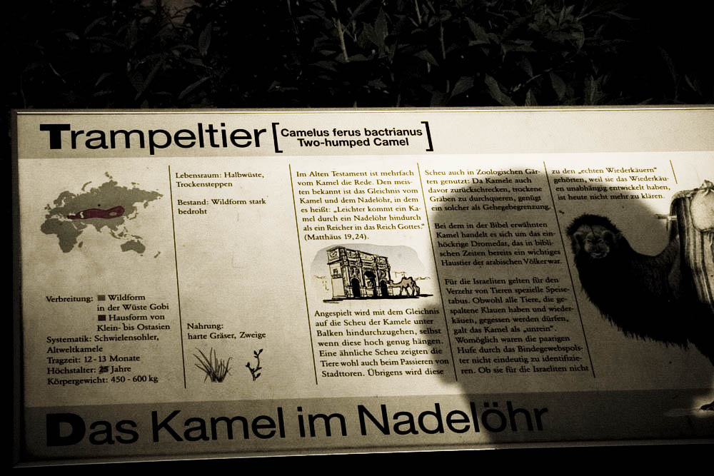 trampeltier