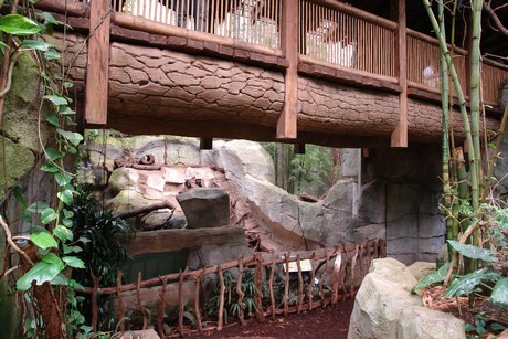 tropenhaus