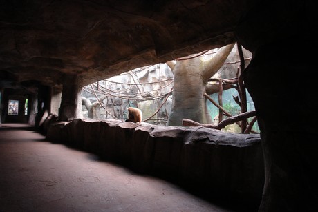 tropenhaus