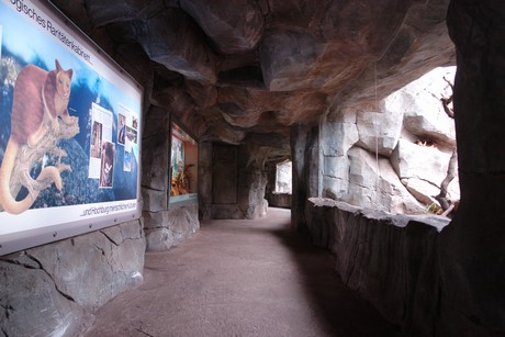 tropenhaus