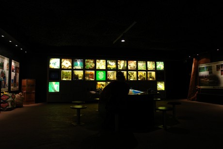 tropenhaus