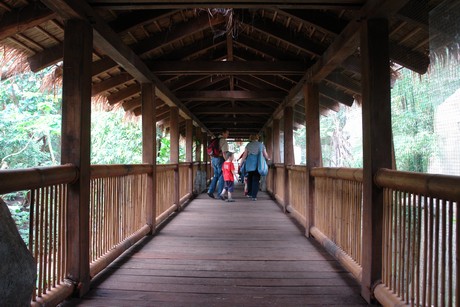 tropenhaus