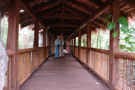 tropenhaus