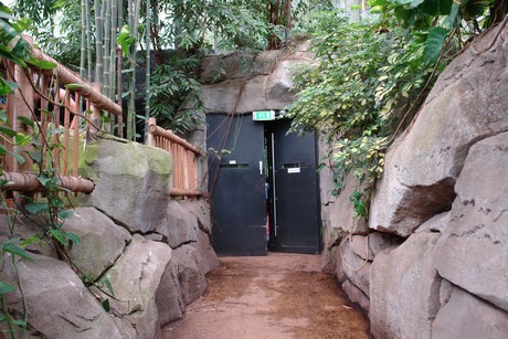 tropenhaus