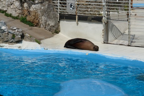 zoo