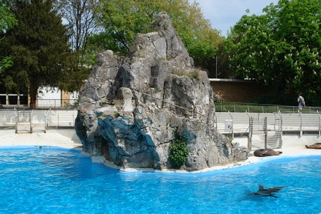 zoo