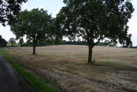 millendorf