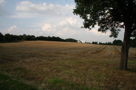 millendorf