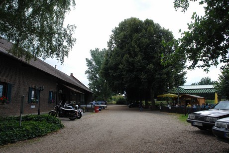 rosengart-museum