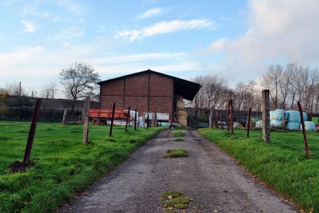auenheim