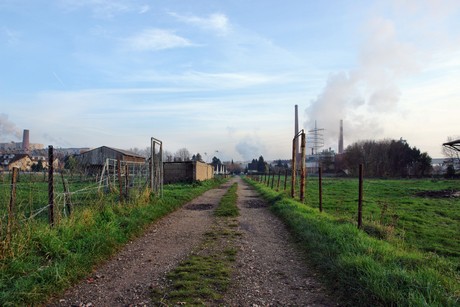 auenheim