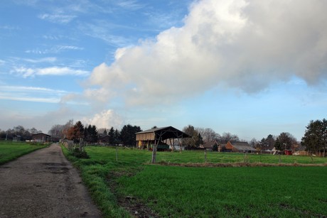 auenheim