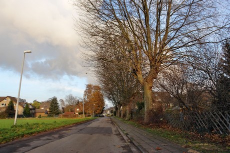 auenheim