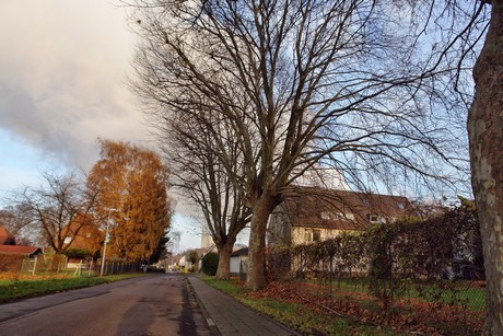 auenheim
