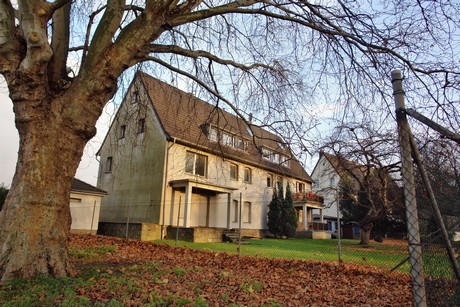 auenheim